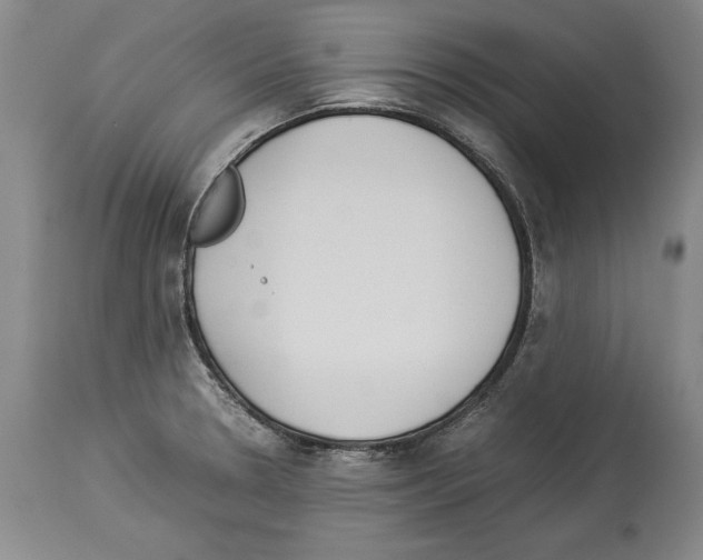 X0000113931330200911061211