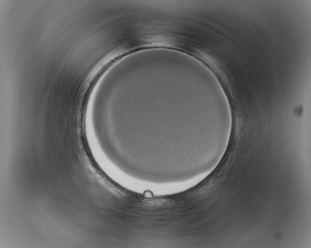 X0000113931331200911061211