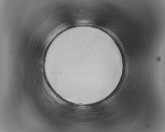 X0000113931333200911061211