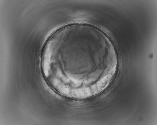 X0000113931334200911061211