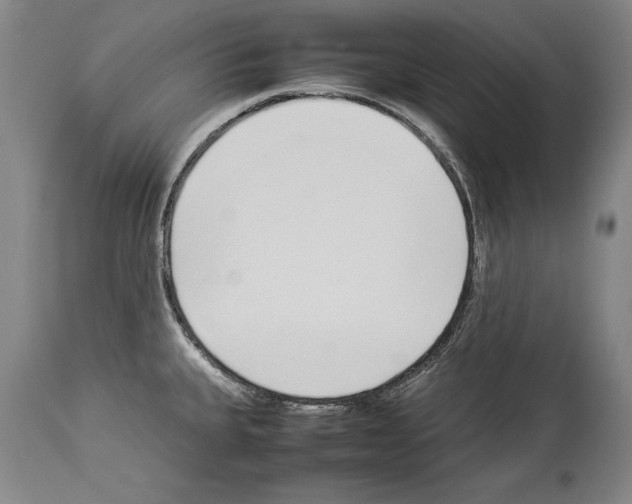 X0000113931335200911061211