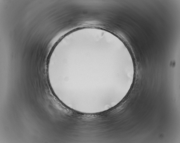 X0000113931336200911061211