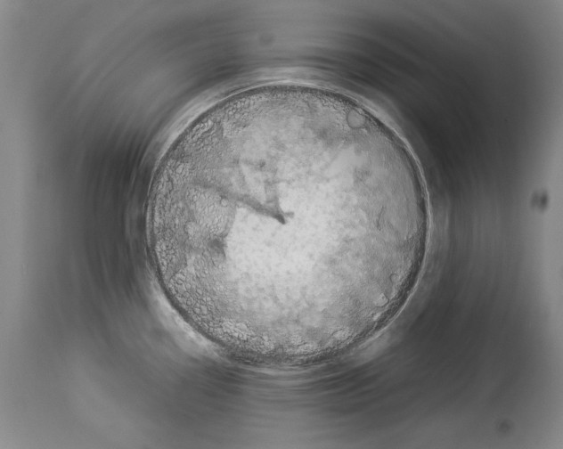 X0000113931338200911061211