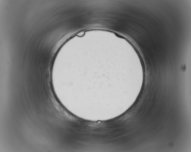X0000113931341200911061211