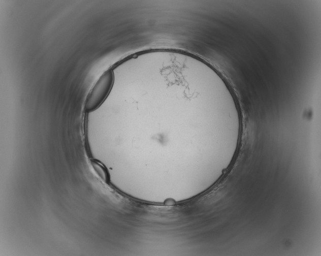 X0000113931342200911061211