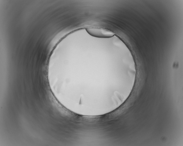 X0000113931344200911061211