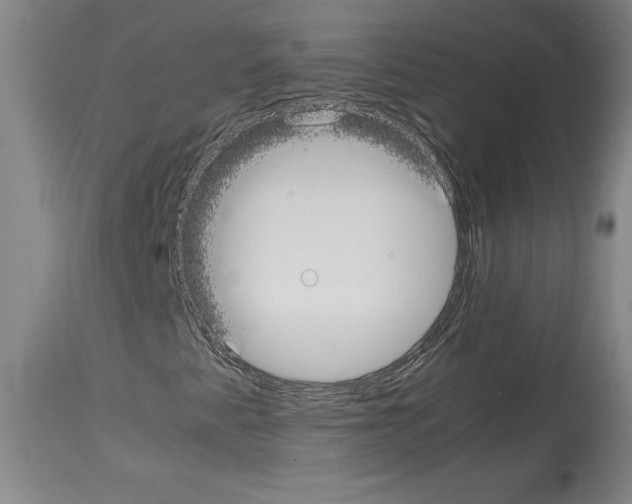 X0000113931345200911061210