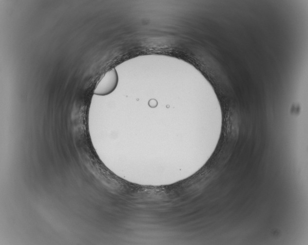 X0000113931346200911061210
