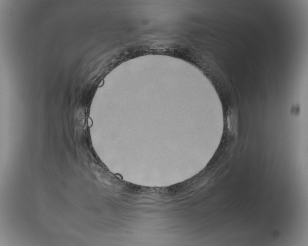 X0000113931347200911061210