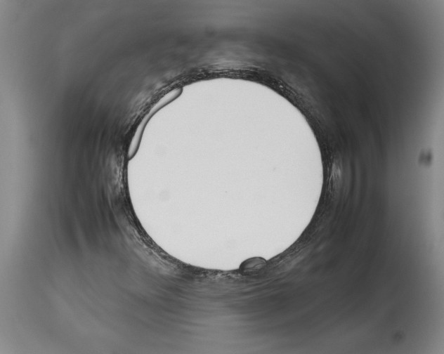 X0000113931348200911061210