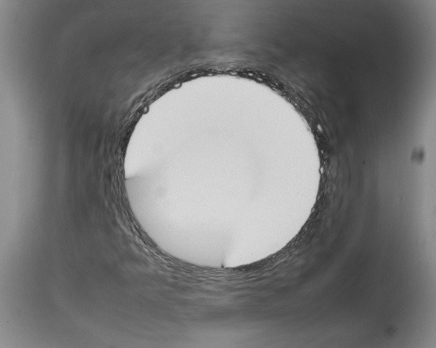 X0000113931349200911061210