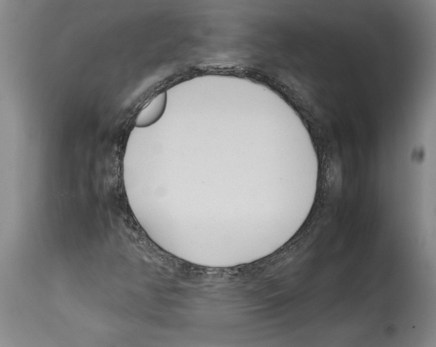 X0000113931350200911061210