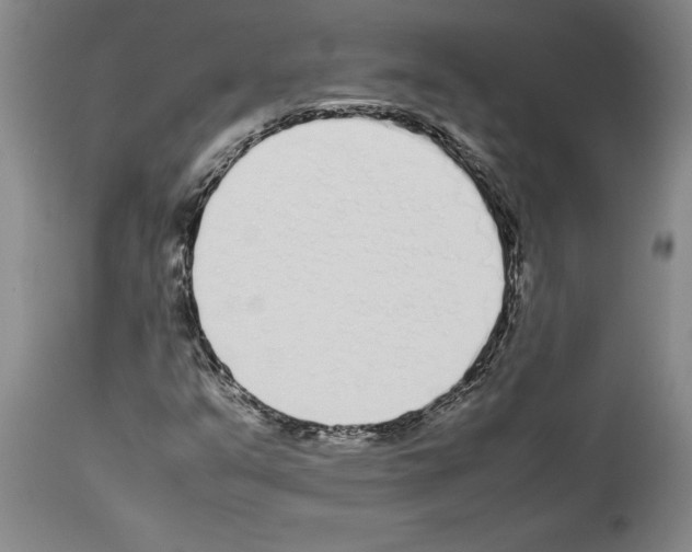 X0000113931351200911061210