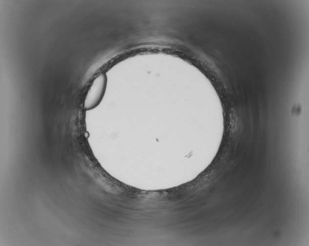 X0000113931352200911061210