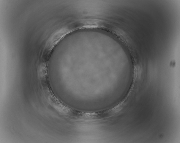 X0000113931353200911061210