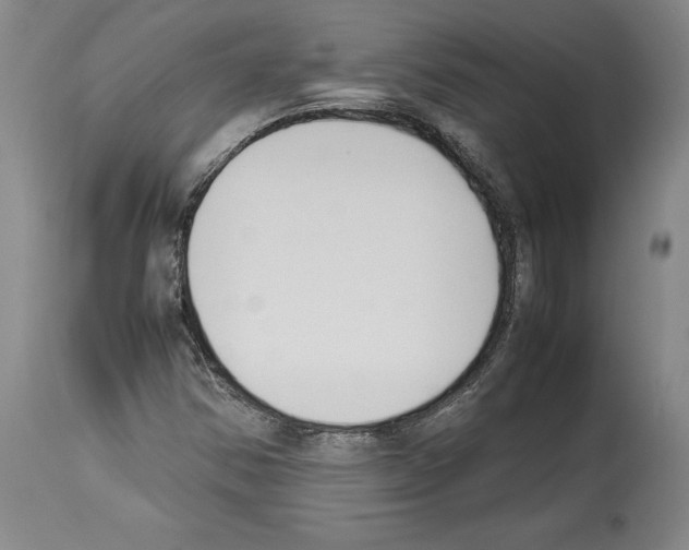X0000113931354200911061210