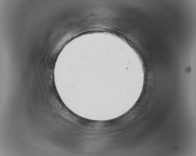 X0000113931355200911061210