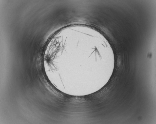 X0000113931356200911061210