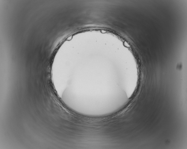X0000113931357200911061210