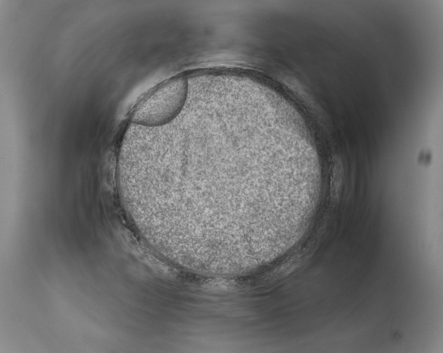 X0000113931358200911061210