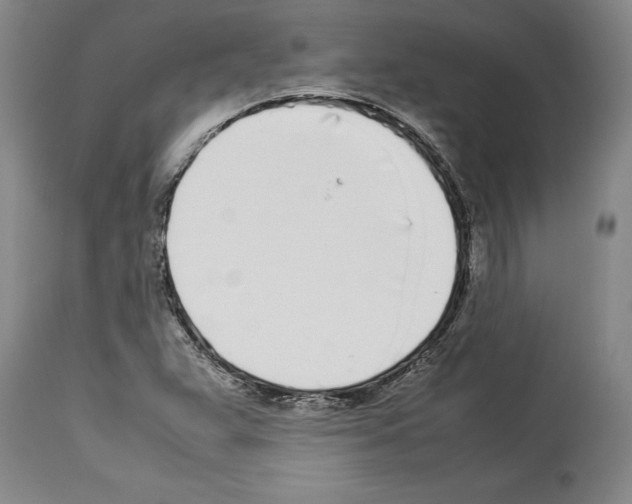 X0000113931359200911061210