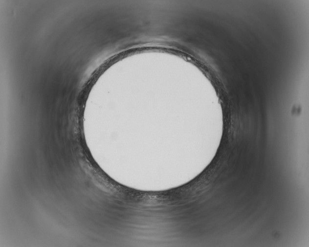 X0000113931360200911061210