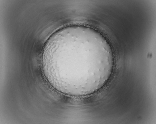 X0000113931361200911061210