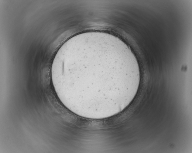 X0000113931362200911061210