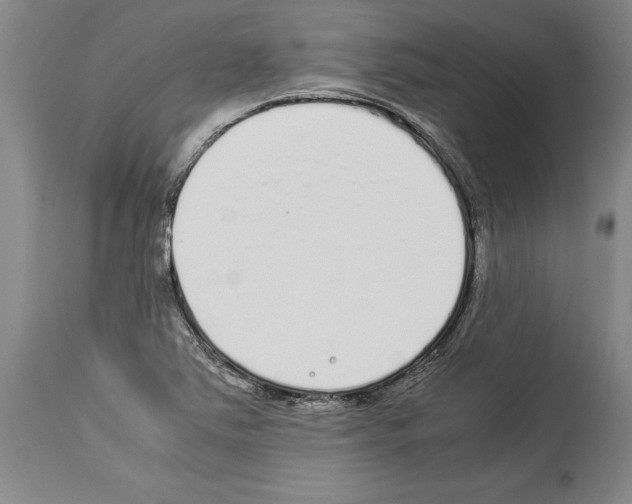 X0000113931363200911061210