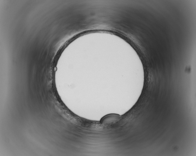 X0000113931364200911061210