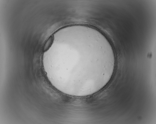 X0000113931365200911061210