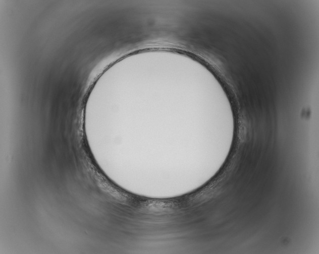 X0000113931366200911061210
