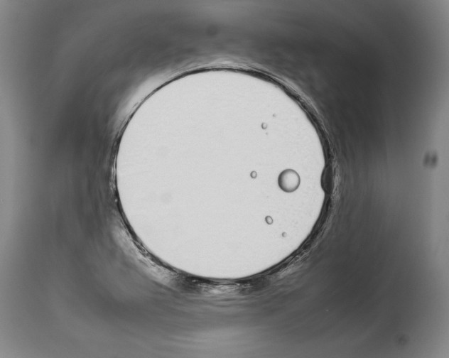 X0000113931367200911061210