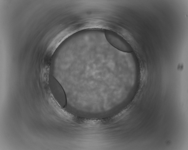 X0000113931369200911061210