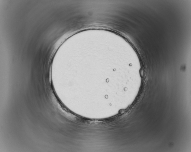 X0000113931371200911061210