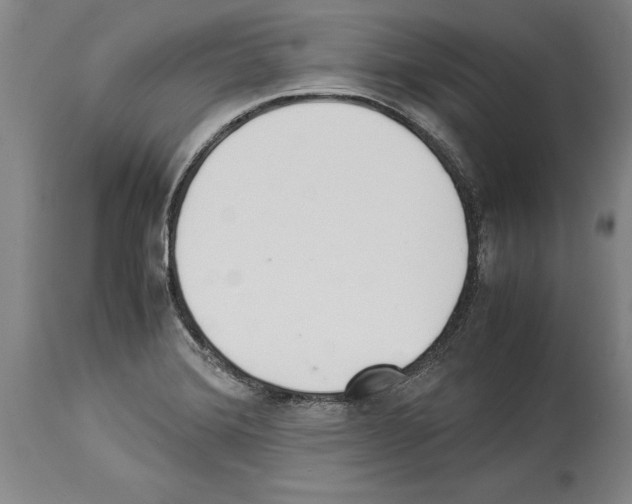 X0000113931372200911061210