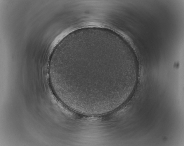 X0000113931373200911061210