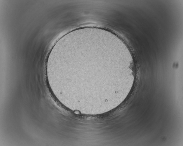 X0000113931375200911061210