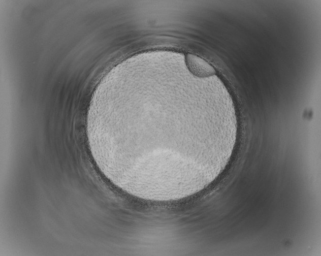 X0000113931377200911061210