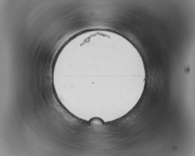 X0000113931380200911061210