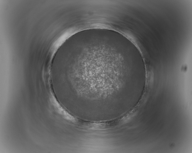 X0000113931381200911061210