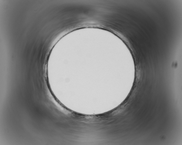 X0000113931383200911061210