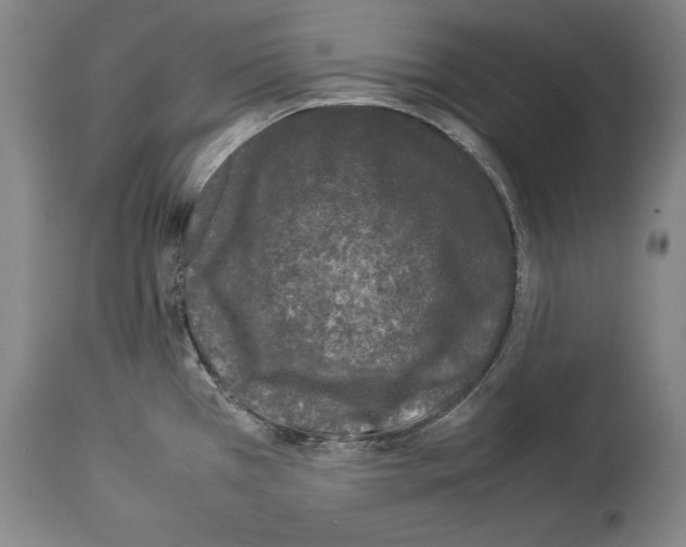 X0000113931385200911061210