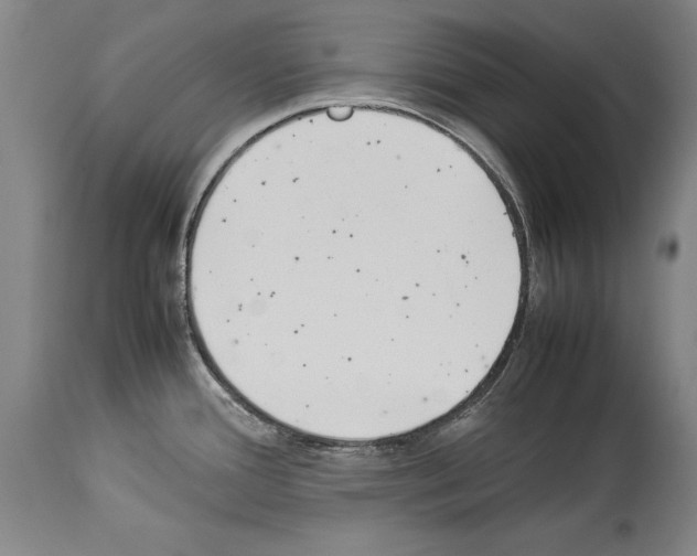 X0000113931388200911061210