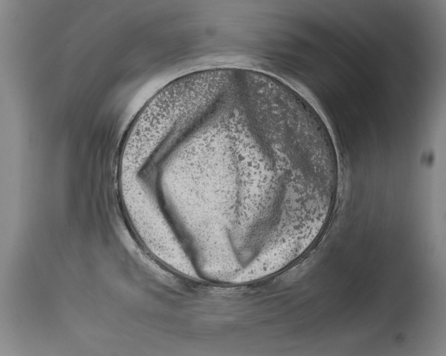 X0000113931389200911061209