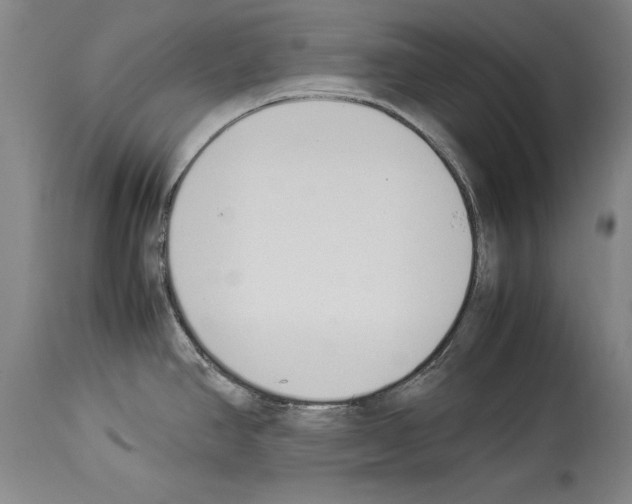 X0000113931390200911061209