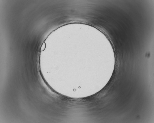 X0000113931391200911061209