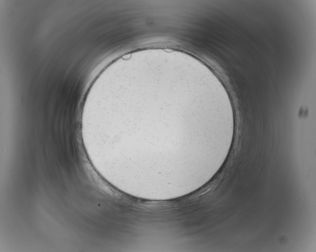 X0000113931392200911061209