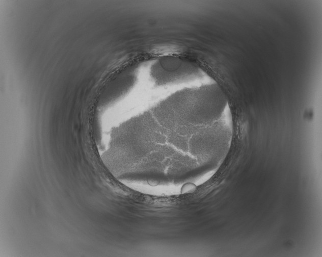 X0000113931393200911061209