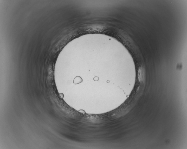 X0000113931395200911061209